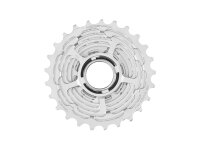 CAMPAGNOLO Kassettenzahnkranz "Super Record WRL 12 10-11-12-13-14