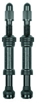 AIRSPY TL 60mm Ersatzventil