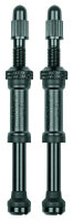 AIRSPY TL 74mm Ersatzventil
