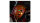 REFLECTIVE BERLIN Reflexaufkleber "Shapes" SB-verp Bubbles, pop