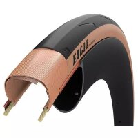 25-622 Eagle tubeless ready, Falt, R:Shield, Dynamic:HP,...