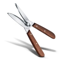 Rosen- und Traubenpflückschere Wood, braun
