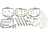 KEYSTER Reparatursatz Vergaser Beinhaltet Einzelte KS-0654NR