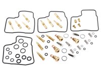 KEYSTER Reparatursatz Vergaser Beinhaltet Einzelte KH-1510