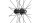 FULCRUM Laufradsatz "Wind 42 DB C23" Renn, 2-Way F HG 8-11