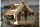 DOBAR Vogelfutterhaus Birke zum Hängen 26x26x24cm
