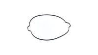 Kupplungsdeckeldichtung Athena KTM O-Ring