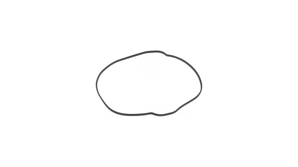 Kupplungsdeckeldichtung Athena KTM O-Ring