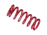 ROCKSHOX Feder Für metrisches System, Stahl 47.5 -...