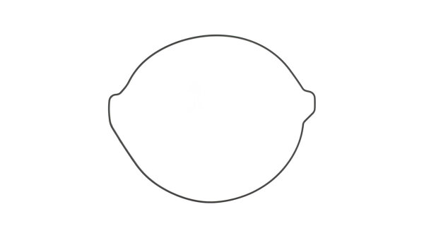 Kupplungsdeckeldichtung Athena KTM O-Ring