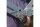 MEDIASHOP Hammersmith SuperLadder Allzweck Leiter
