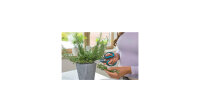GARDENA Schere "HerbCut" Kräuterschere m Schneideprinzip Bypass