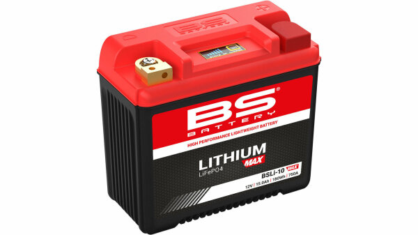 BS-BATTERY LiFePO4 Batterie "BSLI-10" Ersetzt folg Lithium-MAX, w
