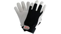 Dexter 1 Lederhandschuh Gr. 8