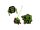 Scout Schulranzen Set Cubes Alpha Set
