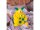 Fimo Kids Colo Pack Basic 6St