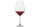 SCZ Rotweinglas Tulip 4er Set