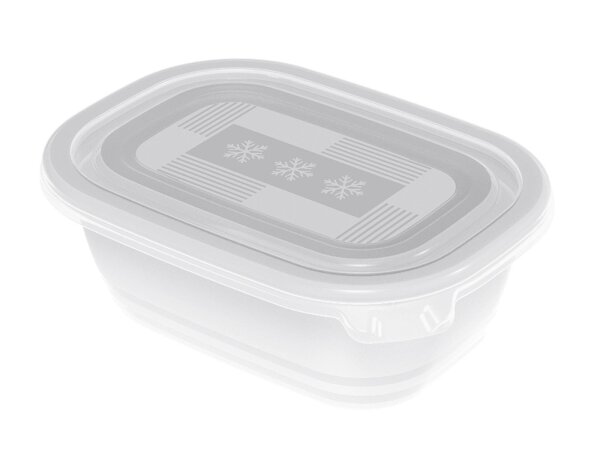 Gefrierdose Freeze 0,5l 4er