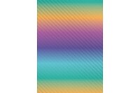 R-Papier Florida 70cmx250m 80g