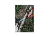 FISKARS Handsäge Xtract Holz-/ Astsäge, grob gezahnt, Sägeblatt