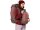 Deuter Reiserucksack Access Pro 60 SL caspia-raisin