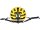 CONTEC Helm "Ruta MIPS" SB-verpackt, spo neo yellow / black velvet, Gr. S/M (54-58 cm)