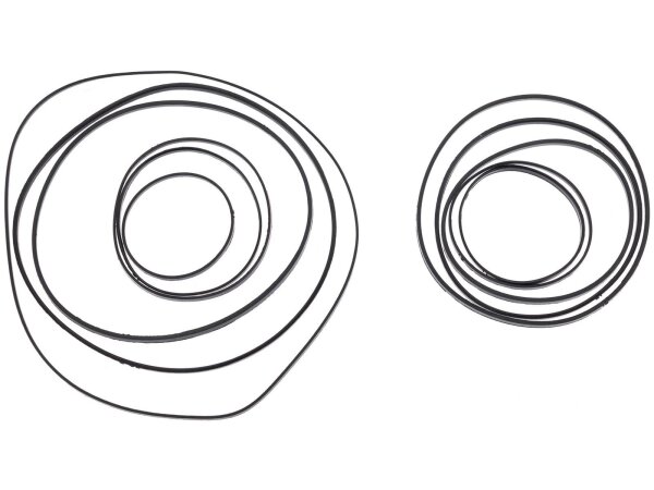 SRAM Stealth Ring-Set Für Kassettenzahnk für 10-30 Zähne