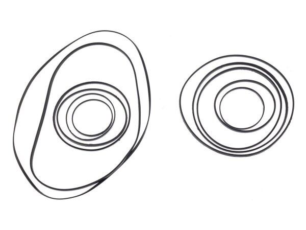 SRAM Stealth Ring-Set Für Kassettenzahnk für 10-36 Zähne