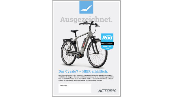 VICTORIA Poster "Cysalo 7 - Preis-Leistu DIN A1
