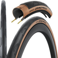 28-622 Grand Prix TR Falt, schwarz/transparent skin