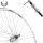 Hinterrad 28", FW7, silber, SE CHRINA, Aluminiumfelge und -nabe, Schnellspanner