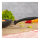 KUHN RIKON Bratpfanne Easy Ceramic 24cm+28cm 2tlg.