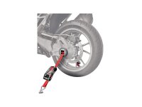 ACE BIKES Transportsicherung "CapStrap"...