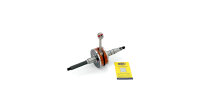 Magneti Marelli Kurbelwelle Standard Kurbelwellen entsp