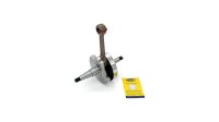 Magneti Marelli Kurbelwelle Standard Kurbelwellen entsp