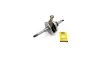 Magneti Marelli Kurbelwelle Standard Kurbelwellen entsp