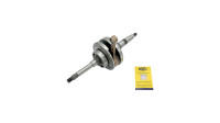 Magneti Marelli Kurbelwelle Standard Kurbelwellen entsp