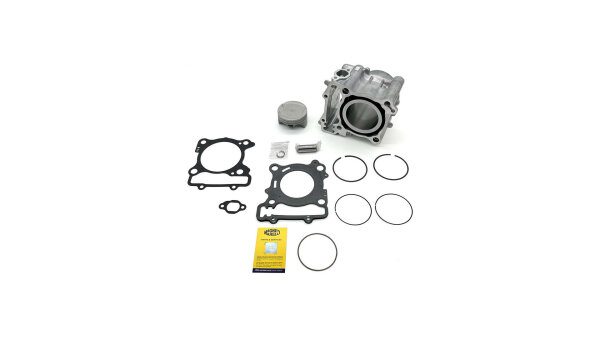 Magneti Marelli Zylindersatz Standard, oh 300 ccm