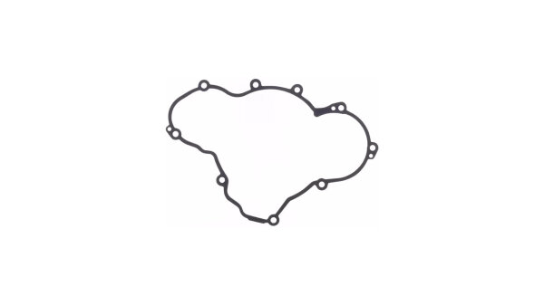 Lichtmaschinendeckeldichtung Athena