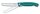 Swiss Classic, Picknick Messer, 11cm, Wellen, grün, Box