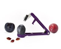 Pflaumenentsteiner Lord Plum lila