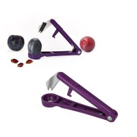 Pflaumenentsteiner Lord Plum lila