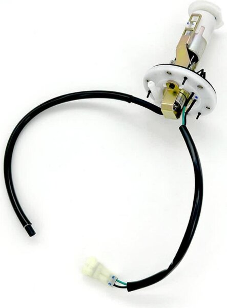 Magneti Marelli Benzinpumpe