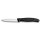 Swiss Classic, Gemüsemesser, 2 Stück, 8 cm, gerade, pointed