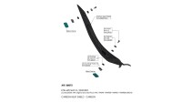 Hitzeschild Leovince Carbon