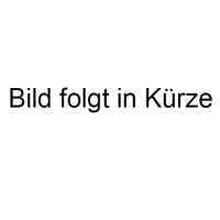 AIR PLUS Schlauch 40-62/622, SCV19-AP 40mm, Schwalbe,...