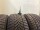 4x Winterreifen 215/55 R17 98V Goodyear Nr.194