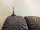 2x Winterreifen 225/45 R18 95V Pirelli Nr.184