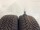 2x Winterreifen 195/55 R16 87H Sailun Nr.164