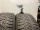 4x Winterreifen 215/55 R17 94H Pirelli Nr.137